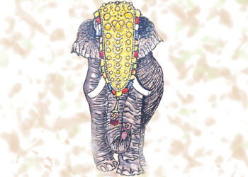 ആന
