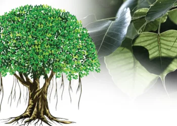 വാമന വൃക്ഷകല