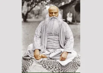 നടരാജഗുരുവും നാരായണ ഗുരകുലവും