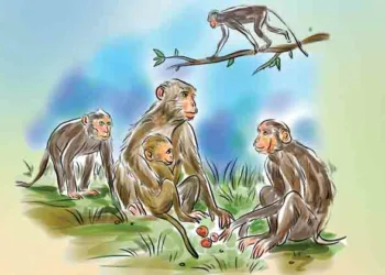 കാടിന്റെ രക്ഷകര്‍ (ഹാറ്റാചുപ്പായുടെ മായാലോകം 17)