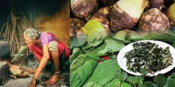 കര്‍ക്കടക രുചിപ്പെരുമകള്‍