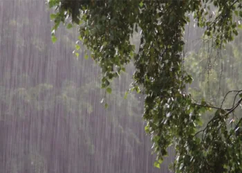 പെയ്‌തൊഴിയാതെ അമൃതവര്‍ഷിണിയും മേഘമല്‍ഹാറും