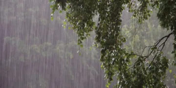 പെയ്‌തൊഴിയാതെ അമൃതവര്‍ഷിണിയും മേഘമല്‍ഹാറും