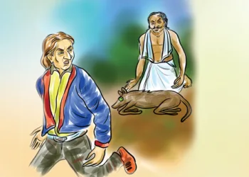 പാവം ചുപ്പാകാബ്രാകൾ (ഹാറ്റാചുപ്പായുടെ മായാലോകം 43)