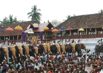 ഉത്സവരാത്രികളിലെ കഥകളി സ്മൃതികള്‍