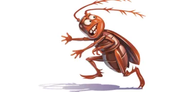 ‘തൈലപ പുരാണം അഥവാ പാറ്റ ചരിതം’