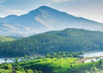പുത്തന്‍ ചിന്തകളും പ്രത്യാശകളും