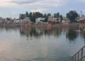 തിരുവാരൂരിന്റെ ശാന്തതയില്‍