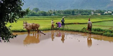 പൂവണിപ്പൊന്നും ചിങ്ങപ്പൂവിളി