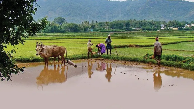 പൂവണിപ്പൊന്നും ചിങ്ങപ്പൂവിളി