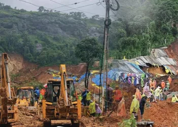 കാറ്റു വിതച്ചു കൊടുങ്കാറ്റ് കൊയ്യുന്ന വയനാട്